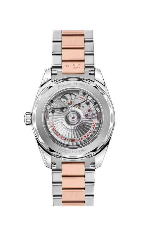 Omega Aqua Terra 150M Master Chronometer Watch 220.20.38.20.09.001