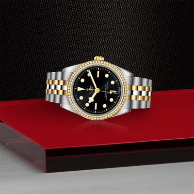 Tudor Black Bay 32 S&G M79653-0001 at Bandiera Jewellers Vaughan