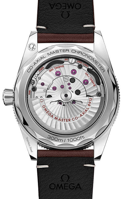 Omega Seamaster 300 CO‑Axial Master Chronometer 41 mm 234.32.41.21.01.001